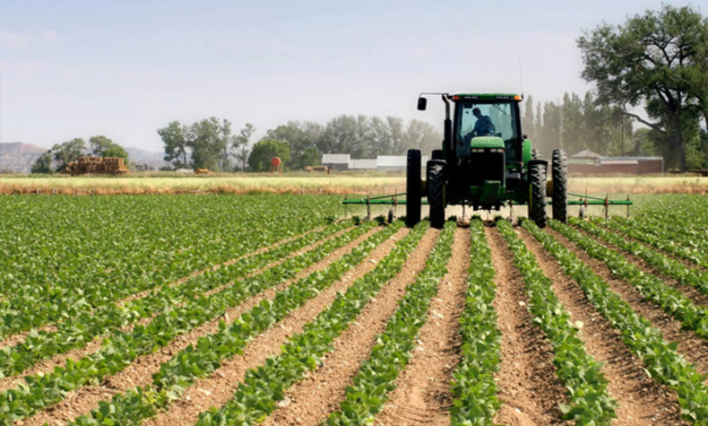 Agriculture & Farming Industry Agriculture & Farming Industry